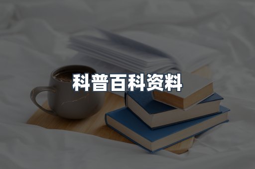 外文电子书系列